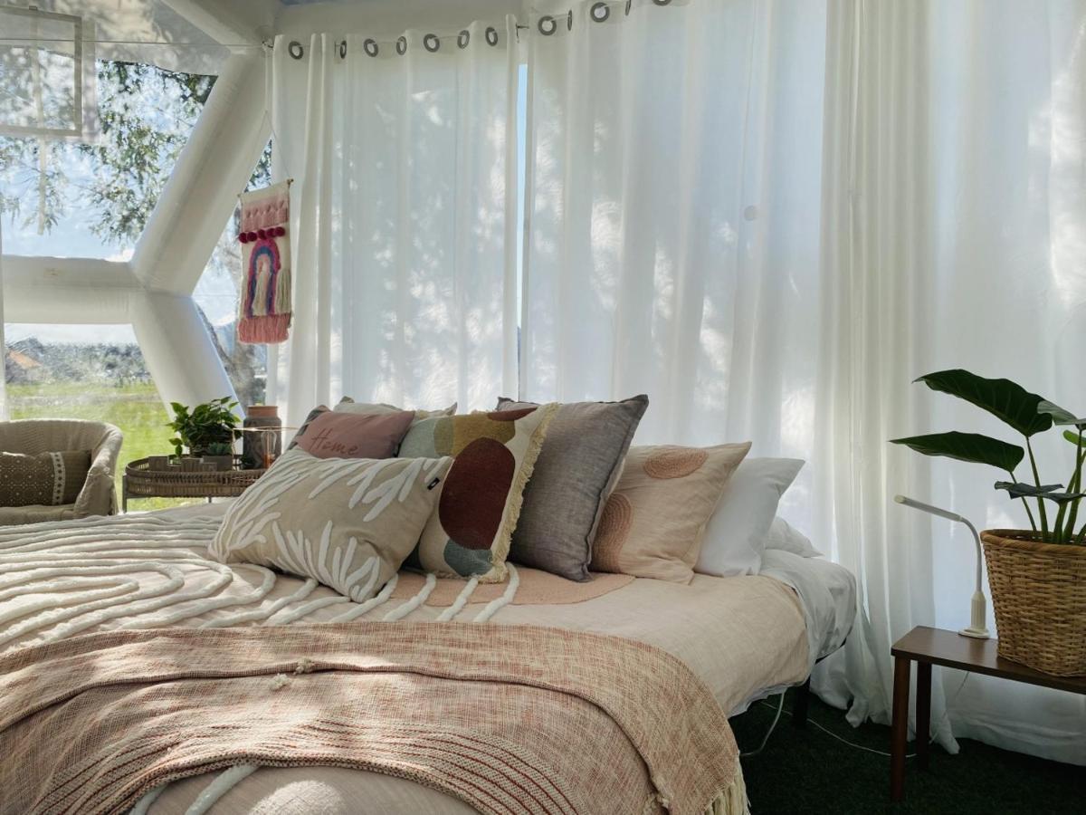 Hampton Bubble 3 Luxury tent *